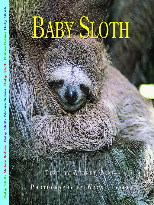 Title details for Baby Sloth by Aubrey Lang - Available